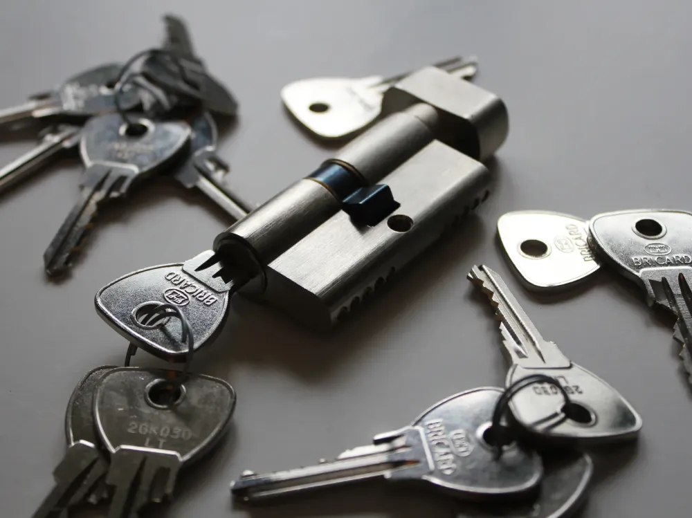 Reproduction télécommande portail près de Gagny